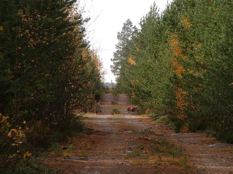 2005-09-23 012.JPG - Haukkureissu syksyllä 2005